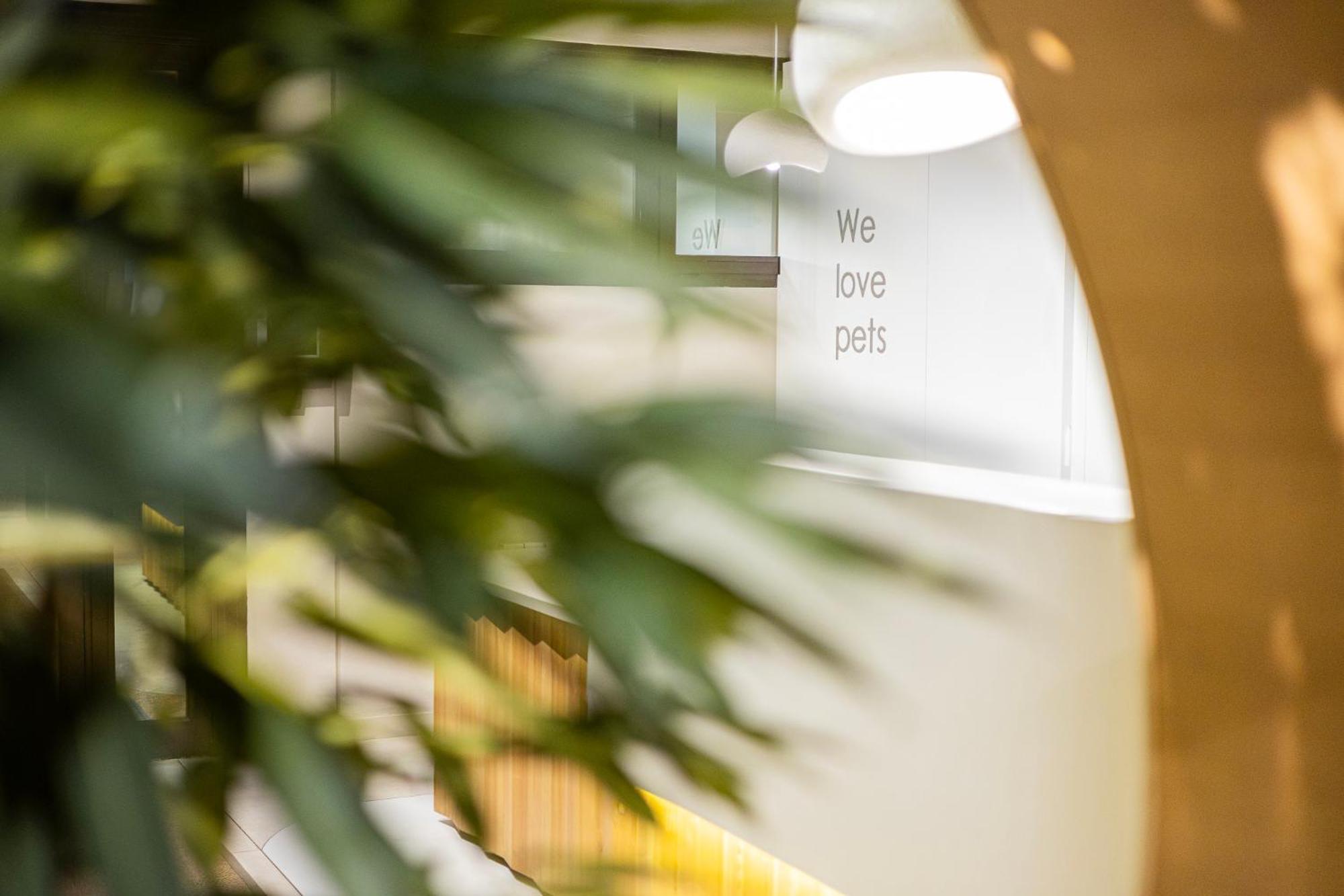 Aparthotel Nou Vielha Eksteriør bilde